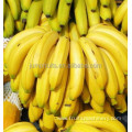 Banana Milk Drink Processing Machine